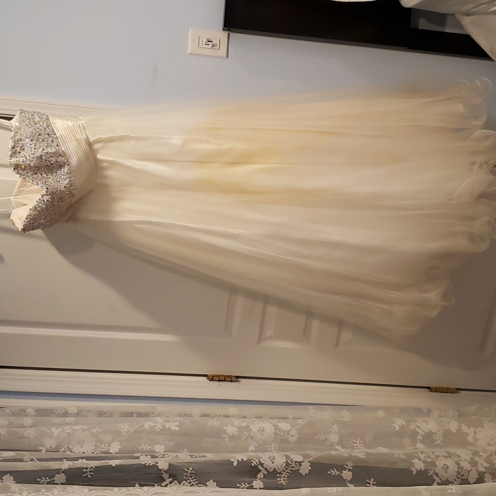 David's Bridal Dress